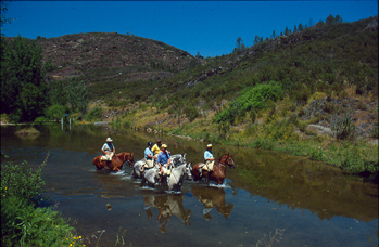 Trail Ride in Sierra Navadas
