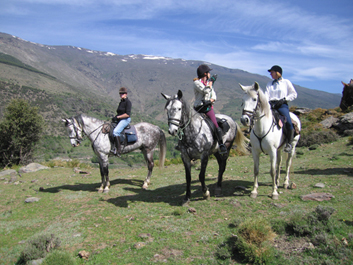 Short Break Mountain Trail Ride 