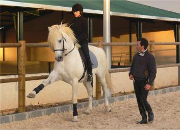 Dressage Break 