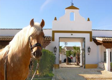 Equestrian Escapes Feature on Horse Smart 20 Of The Best Horse Blogs 