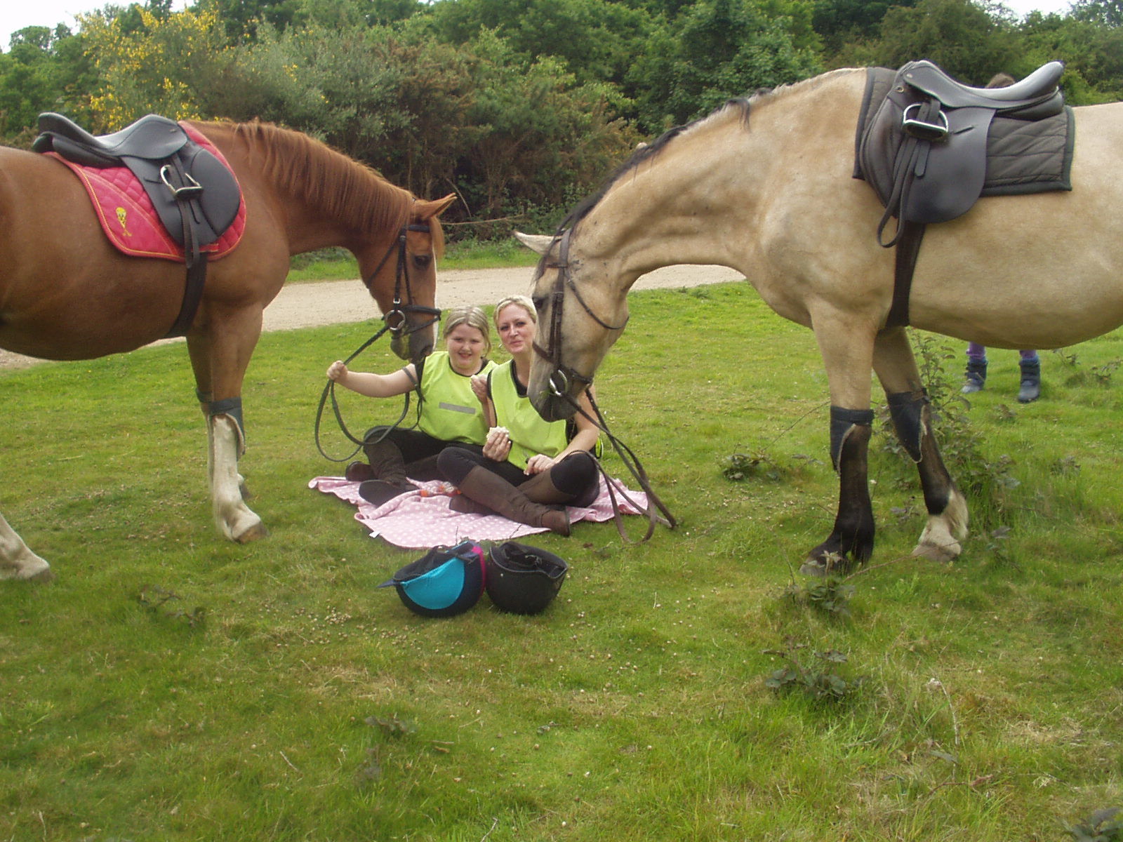 Horses & Chocolate Indulgence Break 
