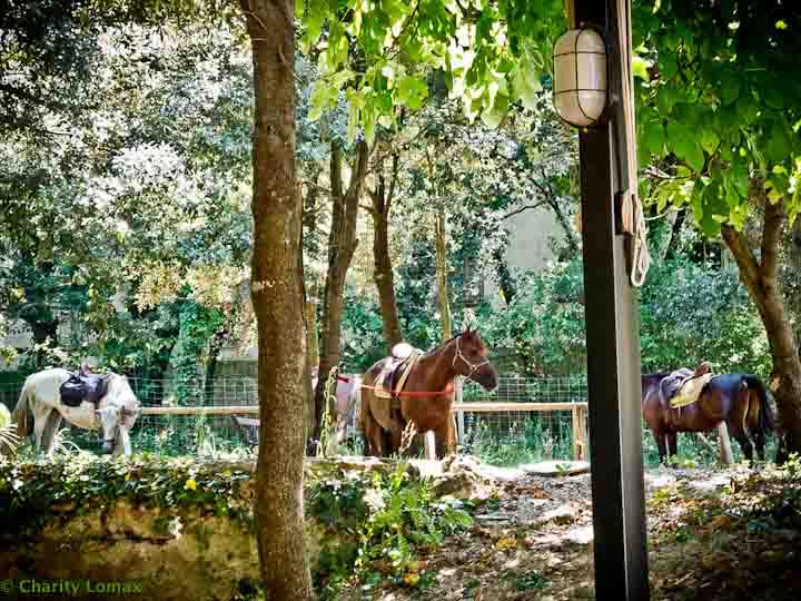 Short Break, Barcelona 