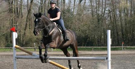 1342792946-jump_2_sml.jpg