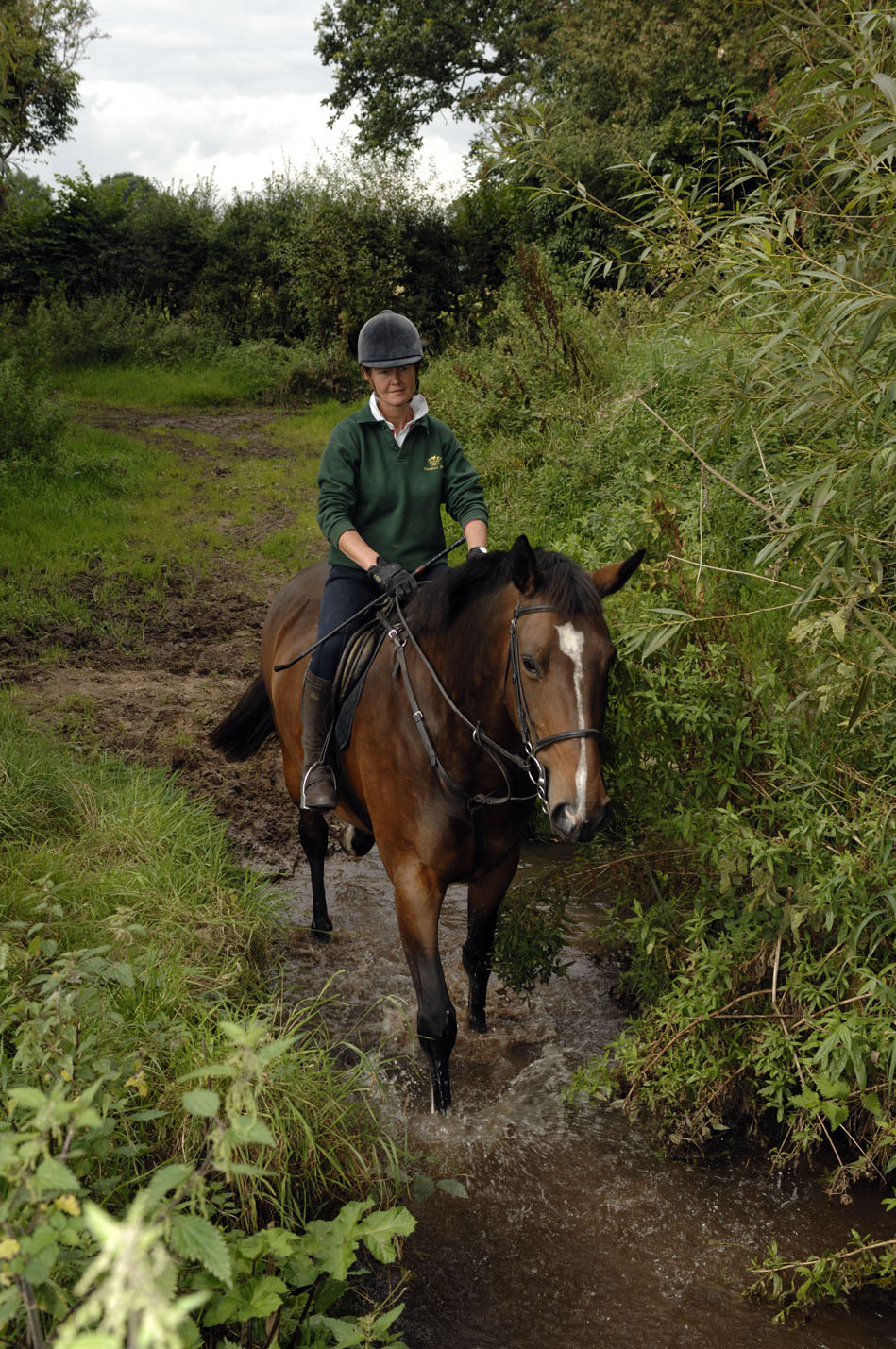 Horse Riding Holidays Cheshire Riding Holiday in Cheshire Horse