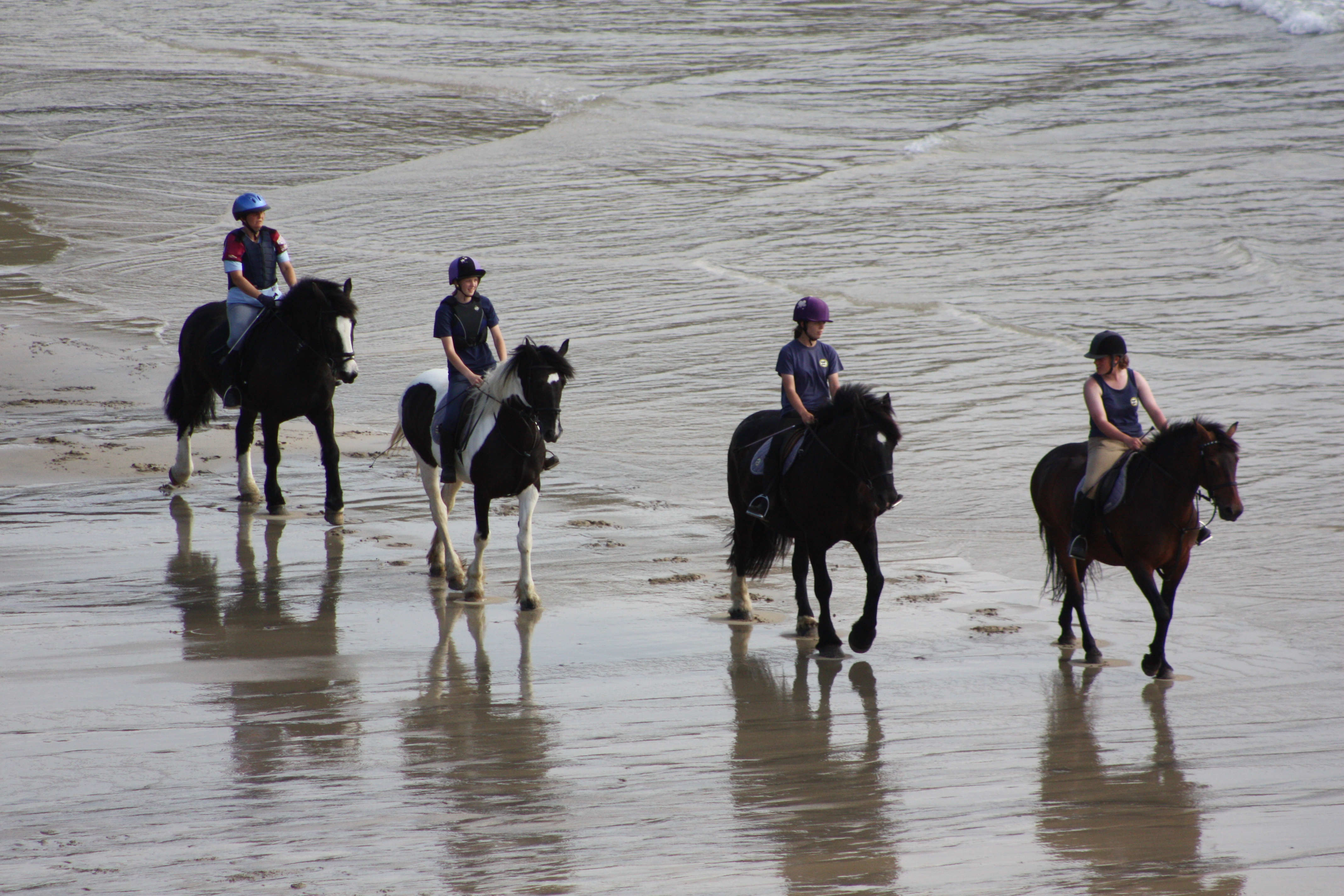 Horse Riding Holidays Cornwall Cornish Riding Holidays Horse Riding