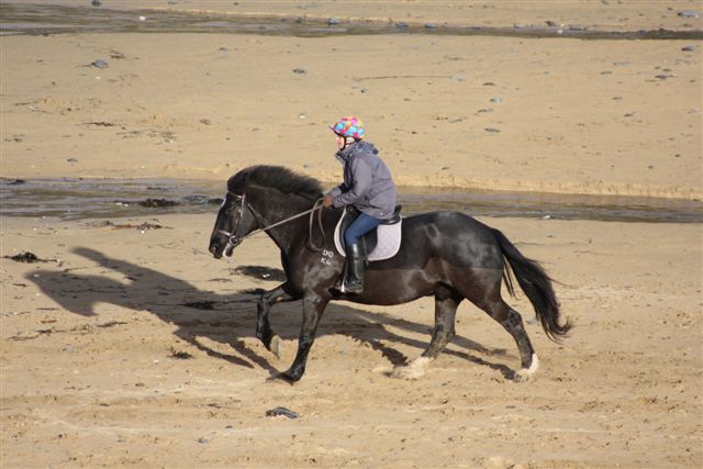 2-4 night Beach Ride Pembrokeshire
