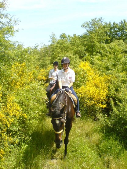 Autumn Riding Holiday Offer