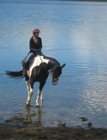 1240239080-small_waterhorseimg_1943.jpg