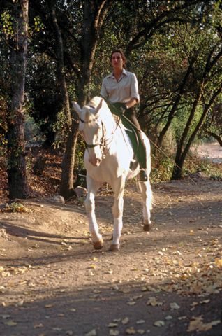 Ride in Portugal from just £350pp