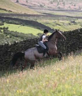 1 week trail just £695pp