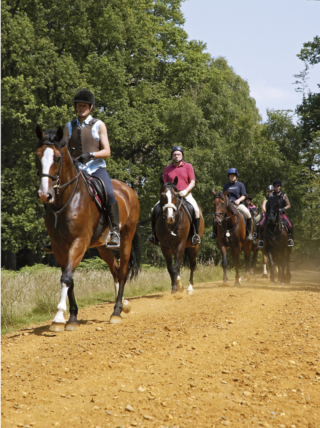 Win a Luxury Horse Riding Holiday