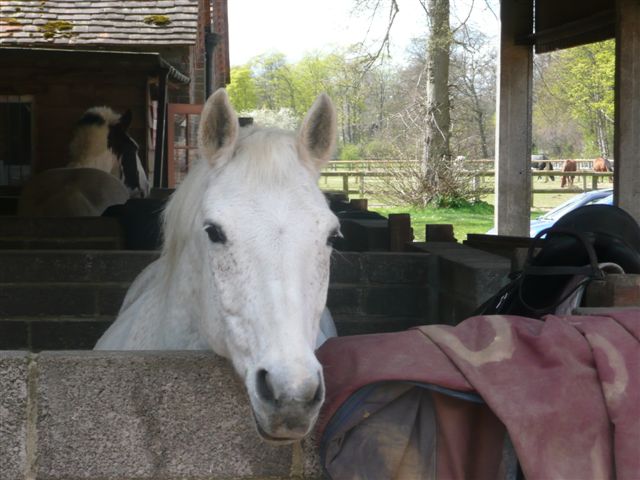 Weekend Riding Break in Berkshire