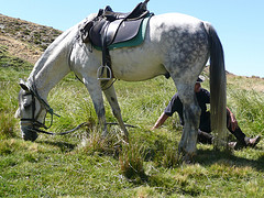 Mountain Riding Holiday & Granada for Beginners 