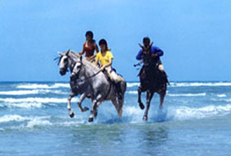 Flexible Beach Ride