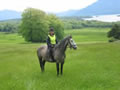 Weekend Trail Ride Ireland 