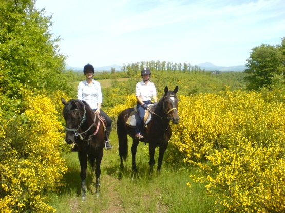 Family Riding Holiday in Italy 