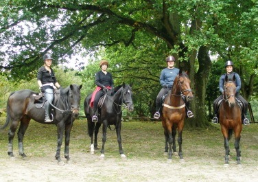 Short Break in Surrey