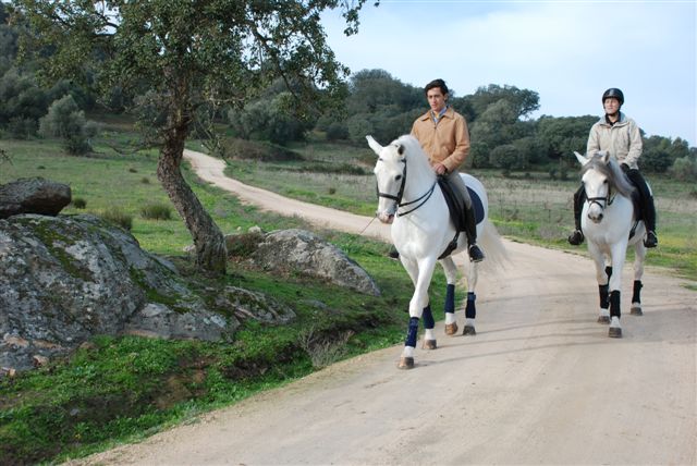 Lusitano Luxury and Culture Riding Break 