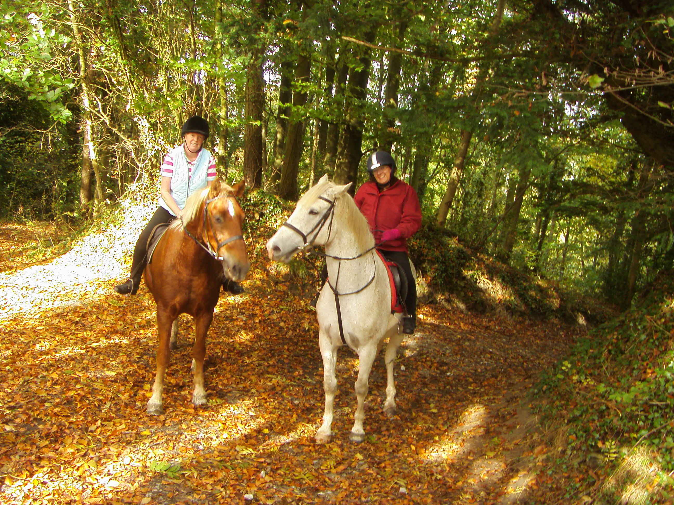 Weekend / Short Riding Break Shropshire 