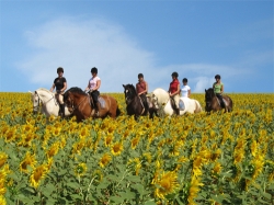 Trail Ride Spain