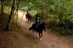 Forest riding UK