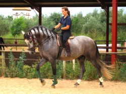Riding Holiday 