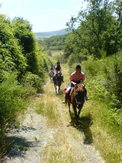 Italy riding holiday