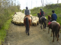 Trail riding Umbria