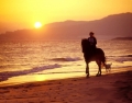 Seville, Donana, Jerez ride / culture 