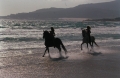 Ride beach & desert,  Almeria 