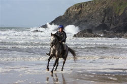 Horse Riding Holiday
