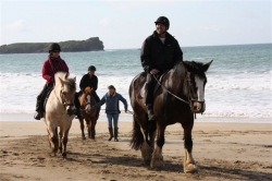 Beach Riding in Cornwall fm &pound;245 pp | 8