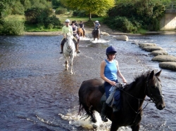 Language and horses holiday