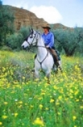 Trail Ride in Sierra Navadas