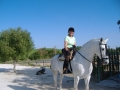 Equestrian Immersion Jerez 