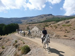 Horse Riding Holidays
