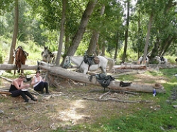 Trail Ride in Sierra Navadas