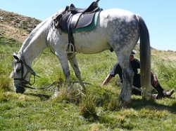Horse Riding Holiday Granada