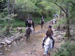 Trail Riding