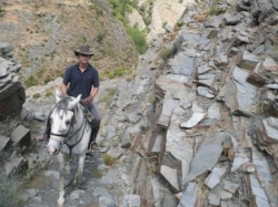 Riding Holiday Spain