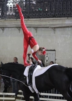 Horse Riding in Saumur | 6