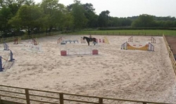 Delamere Forest - Bring Own Horse  | 10