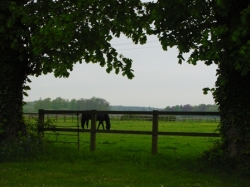 Weekend Riding Break in Berkshire | 12