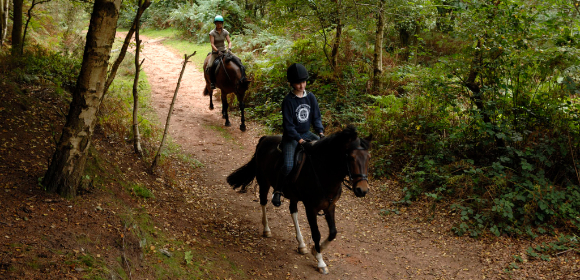 Delamere Forest - Bring Own Horse