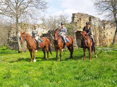 Explore Majestic Tuscany On Horseback 