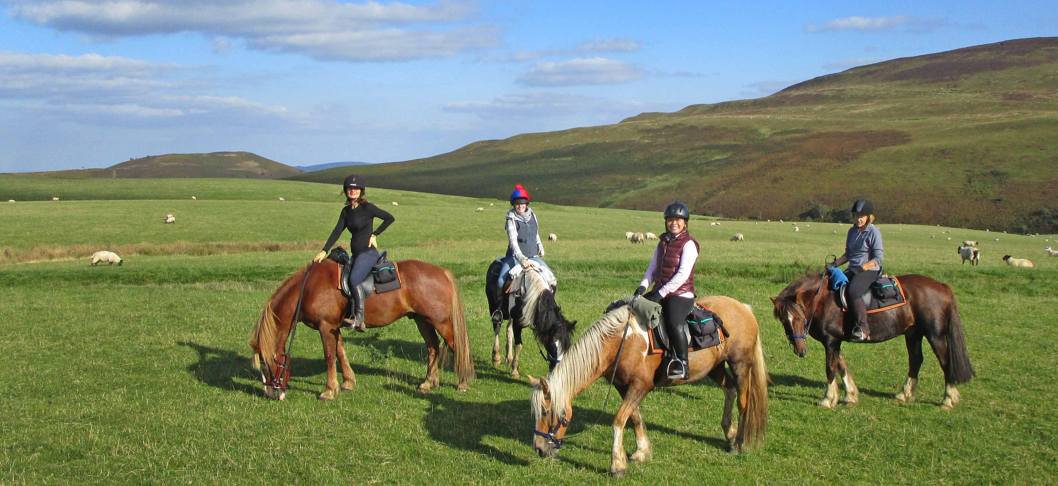 Riding Holidays Wales Horse Riding Week Equestrian Holidays Horse