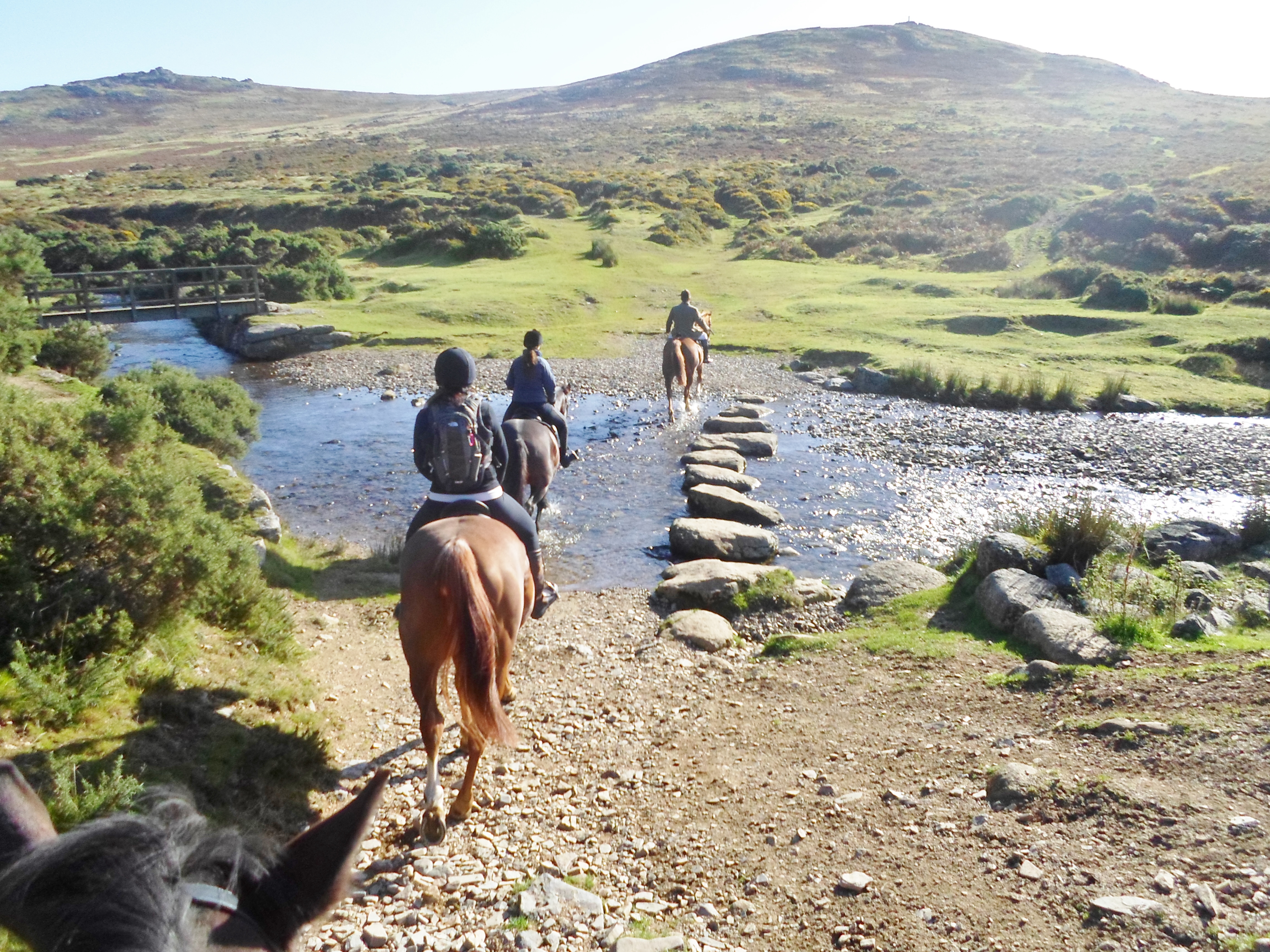 Riding Dartmoor Horse Riding Holiday Devon Welsh Riding Holiday