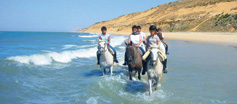 Riding Holiday Testimonials