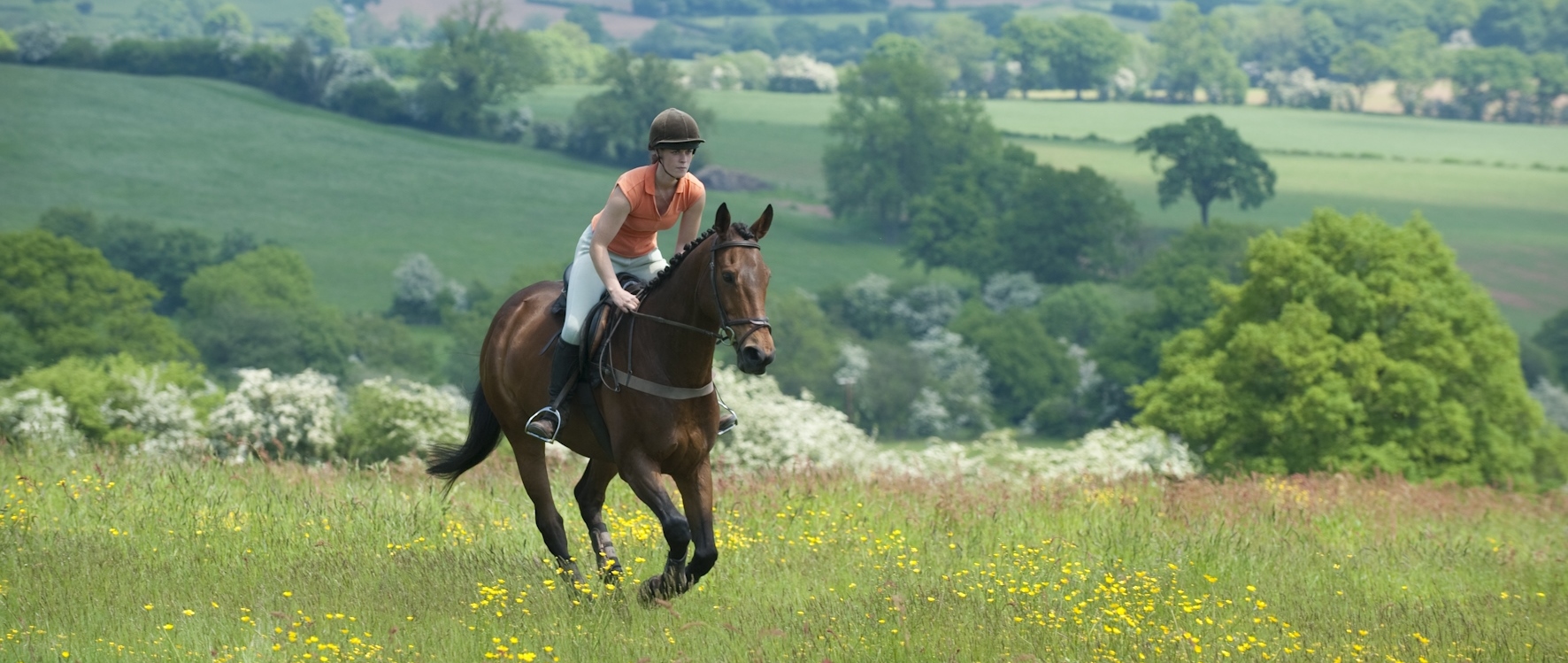 Horse Riding Holidays Cheshire Riding Holiday in Cheshire Horse