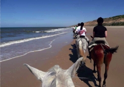 Beach Ride Beginners Spain